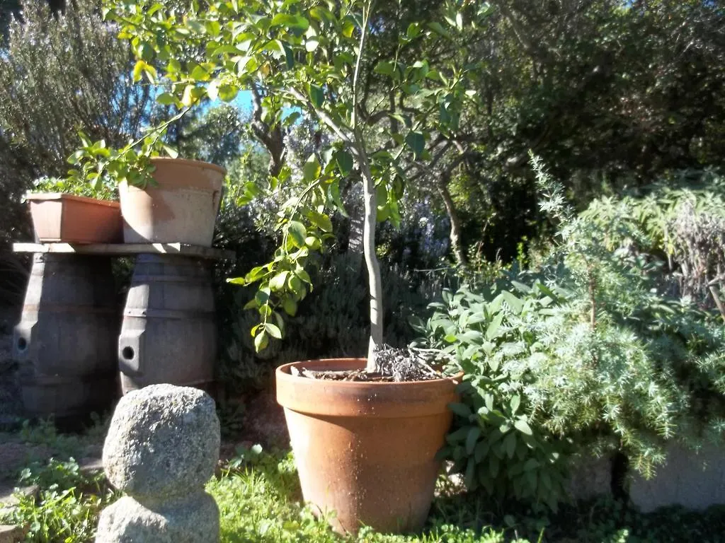 La Casa Del Poeta Ξενοδοχείο Aglientu